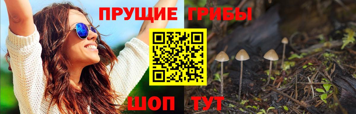 Галлюциногенные грибы Magic Shrooms  Вход с VPN  Люберцы 