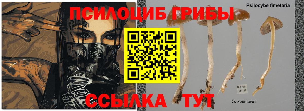Псилоцибиновые грибы мухоморы Люберцы