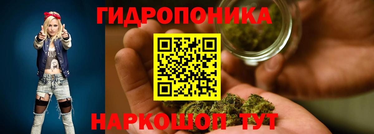 Люберцы  Бошки марихуана ГИДРОПОН  Каннабис Bruce Banner  Вход с VPN 